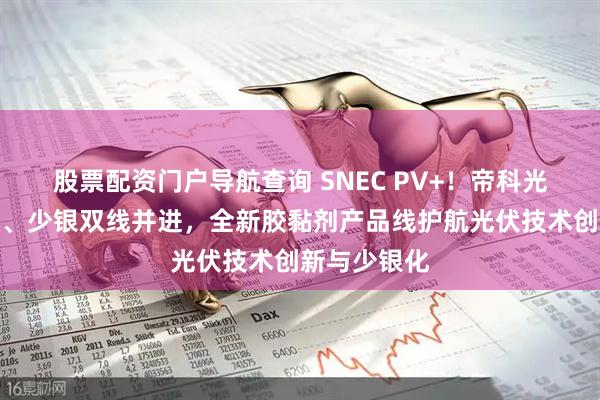 股票配资门户导航查询 SNEC PV+！帝科光伏浆料高效、少银双线并进，全新胶黏剂产品线护航光伏技术创新与少银化