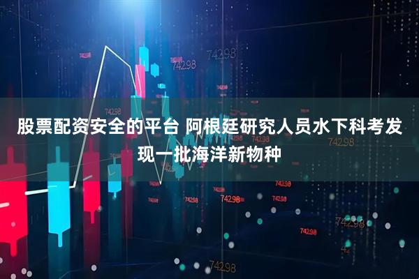 股票配资安全的平台 阿根廷研究人员水下科考发现一批海洋新物种